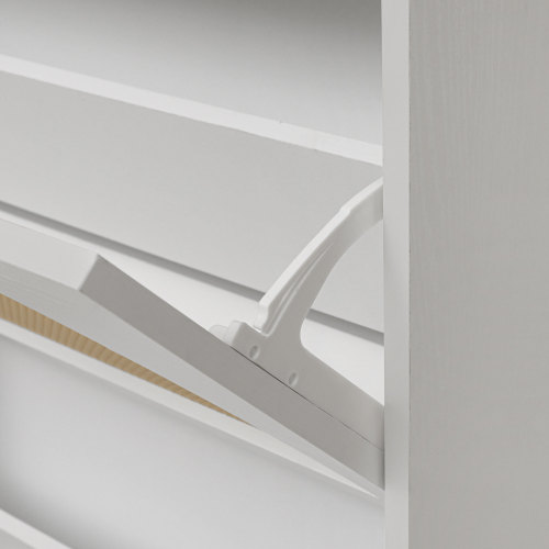 2 Door Shoe Rack, Rattan, Double Layer, Suitable for Living Room, Hallway、、casual