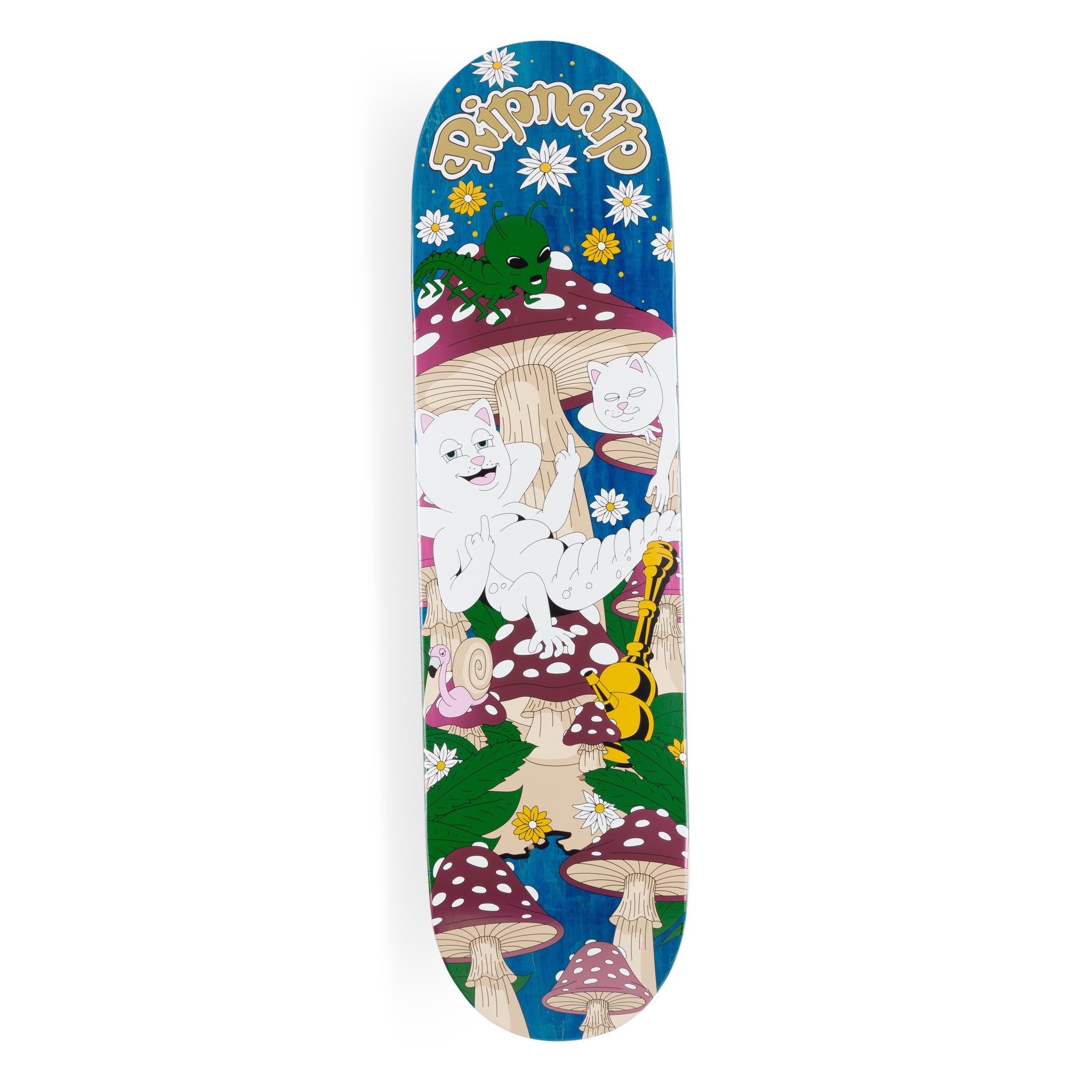  Caterpiller Garden Board (Navy)、mySite、merchandisen