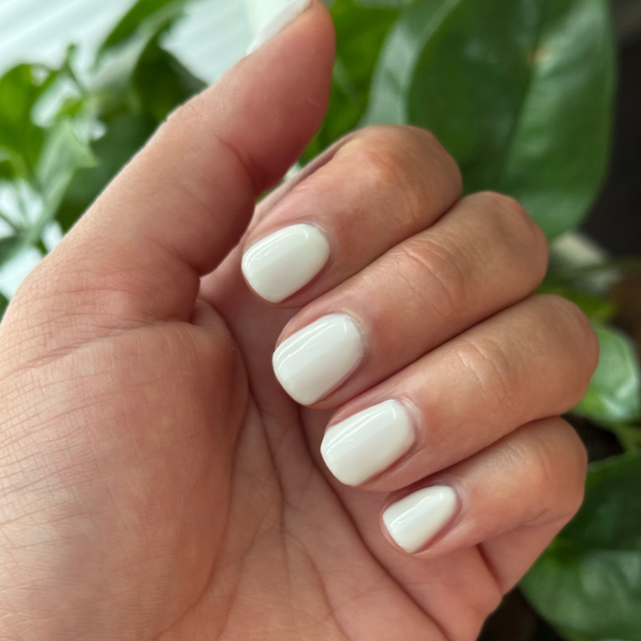 LHG - Gel、mySite、solidvoid