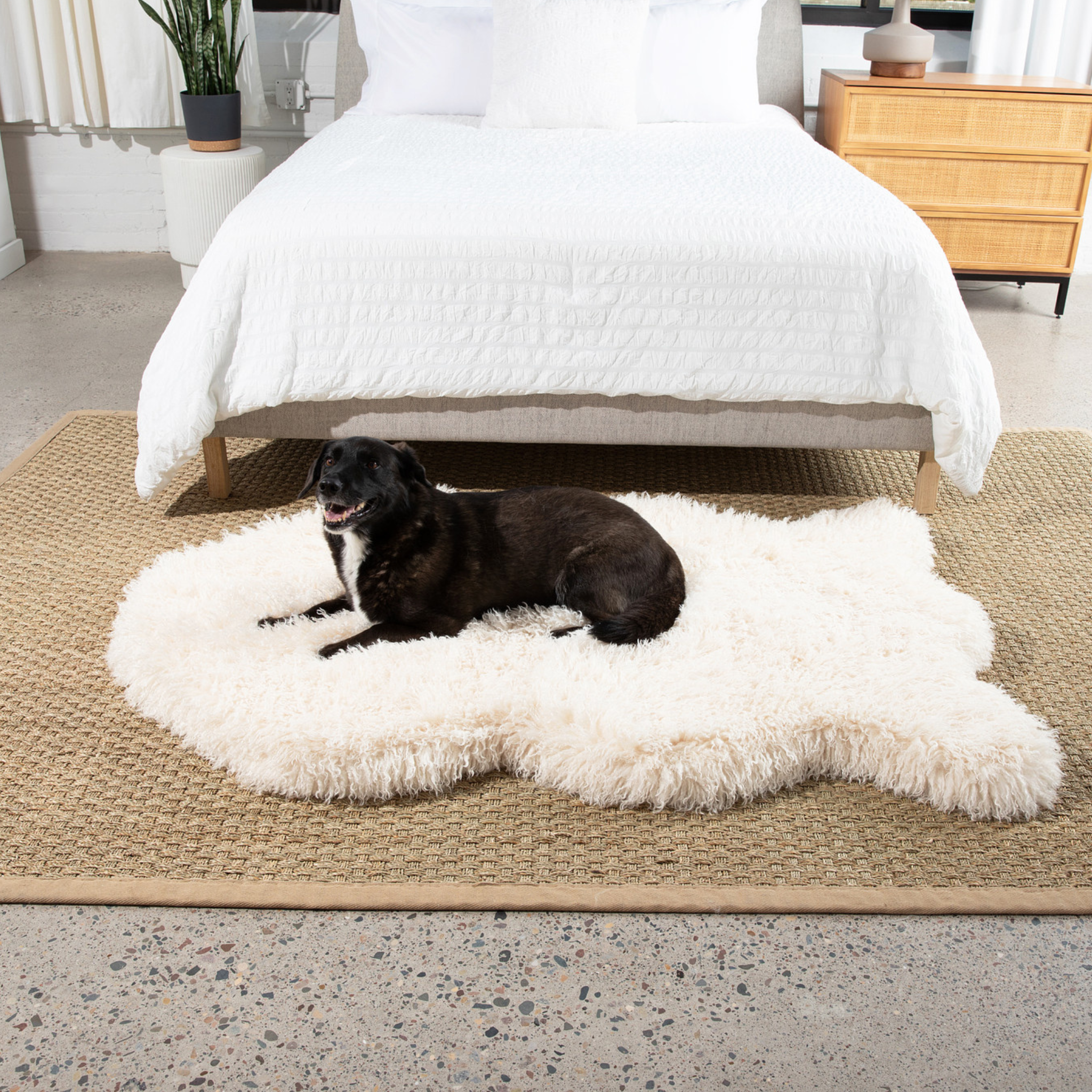 PupRug™ Luxe Faux Fur Orthopedic Dog Bed - Plush Sheep Ivory、mySite、solidvoid