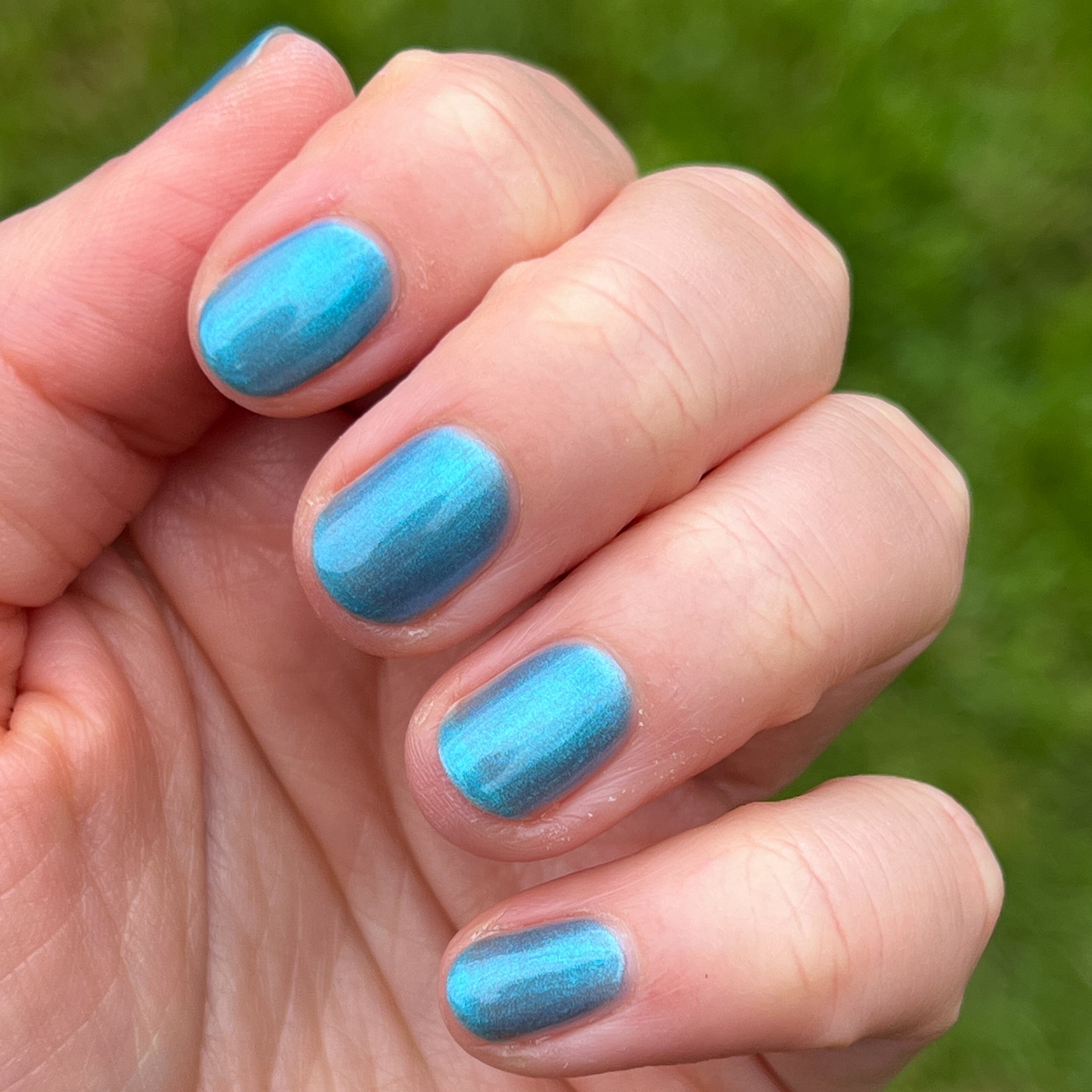 Internal - My Little Seapony、mySite、solidvoid