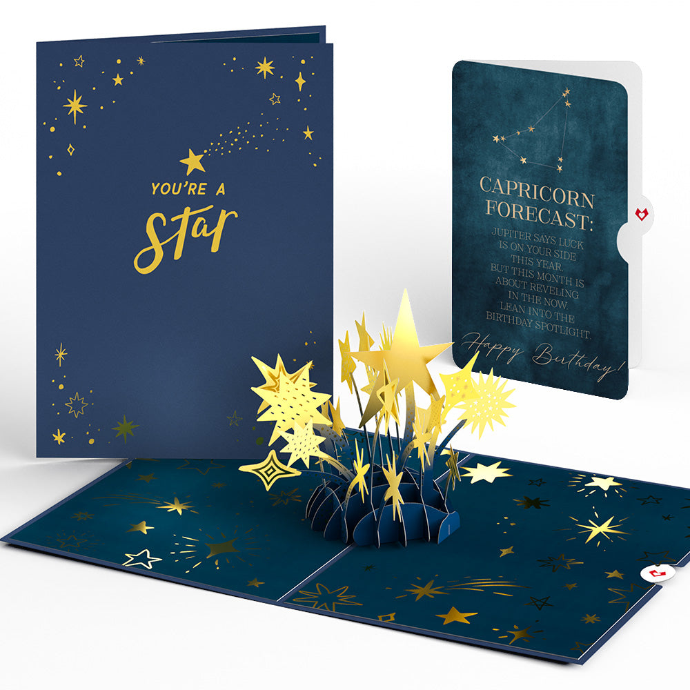 You're a Star Birthday Pop-Up Card and Capricorn Zodiac Sentiment Set、mySite、solidvoid