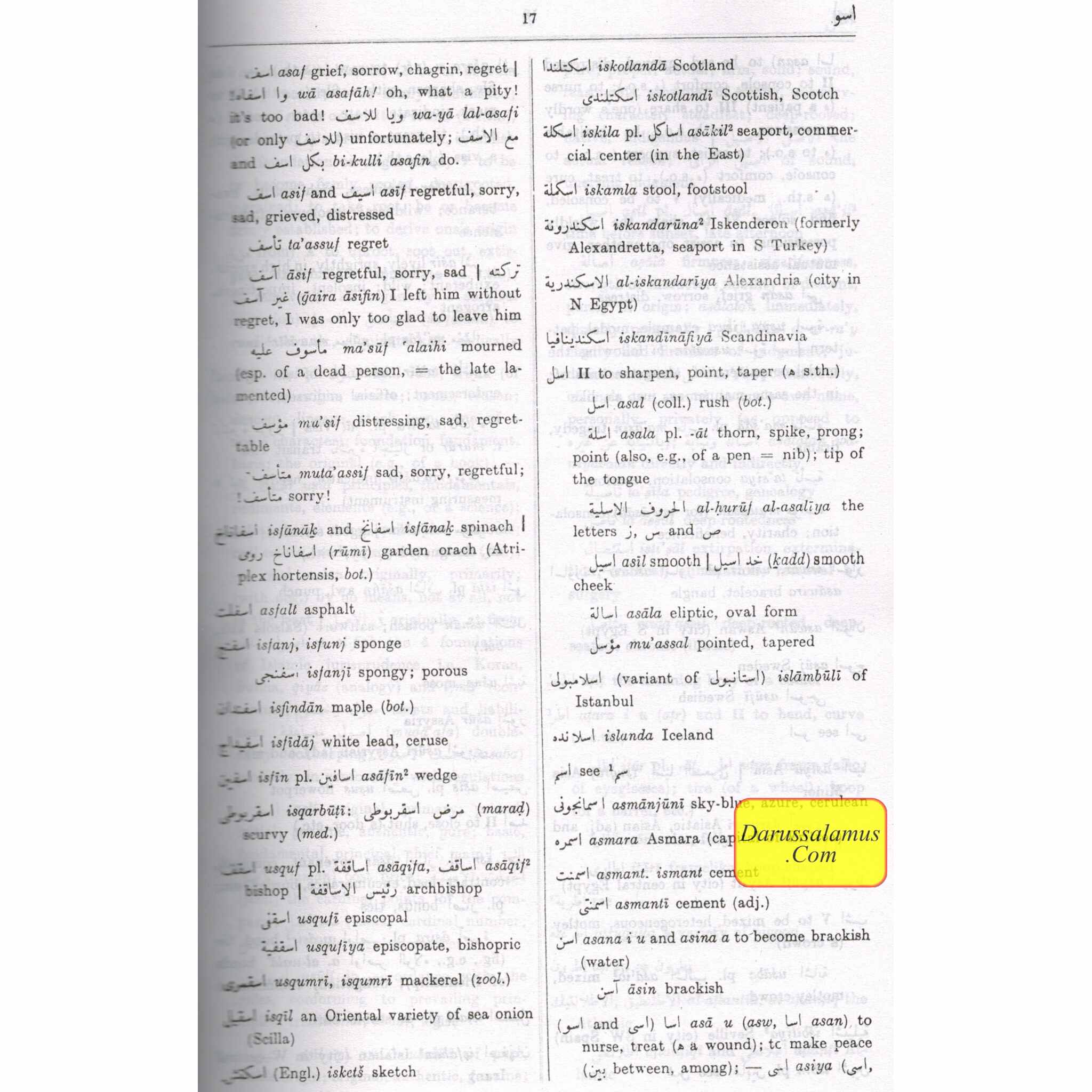 A Dictionary of Modern Written Arabic (Arabic-English) By Hans Wehr、mySite、topwebapps