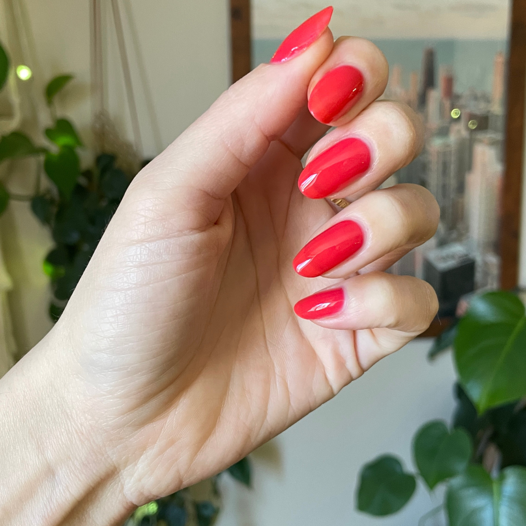 Fragola、mySite、solidvoid