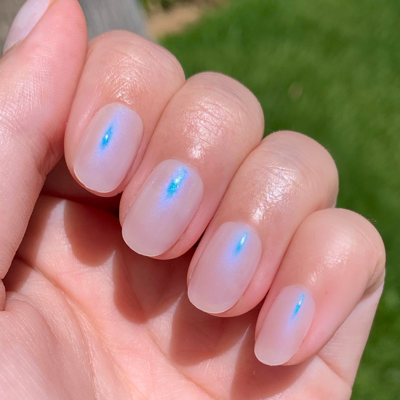 Pink Goldfish | Round | Extra Short、mySite、solidvoid