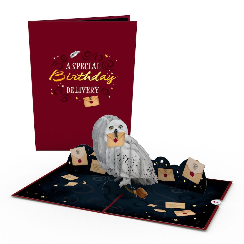 Harry Potter™ Hedwig™ Birthday Pop-Up Card & Flower Buds Bouquet Bundle、mySite、solidvoid