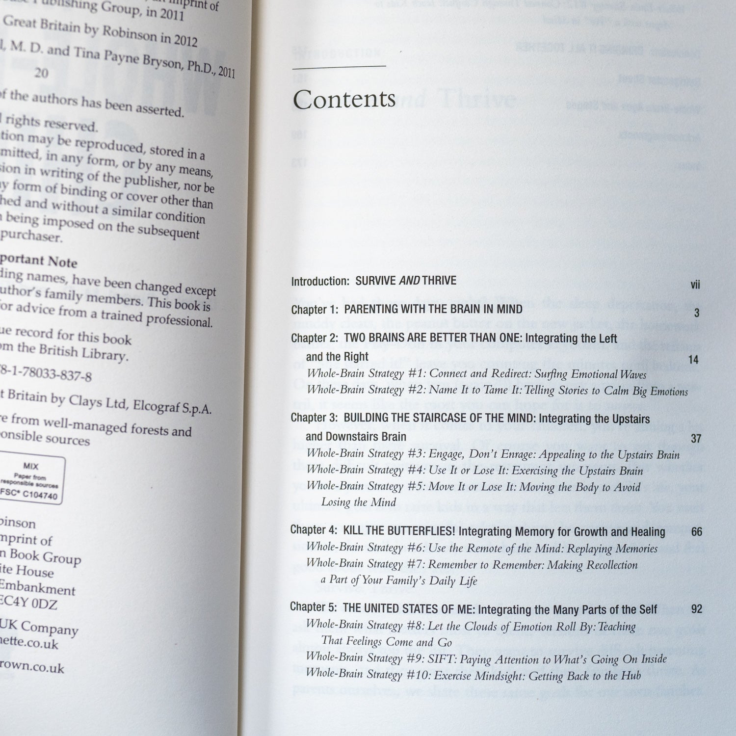 The Whole-Brain Child、mySite、topwebapps