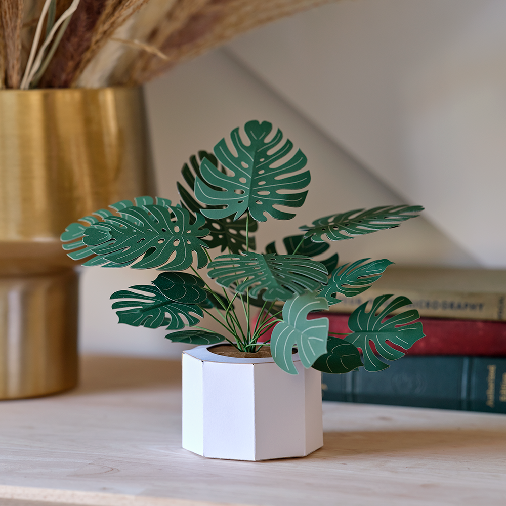 Paper Monstera Plant DIY Kit、mySite、solidvoid