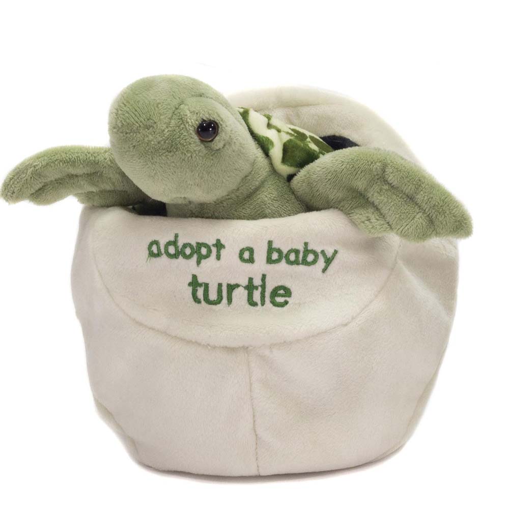 8 Adopt a Baby Turtle、mySite、g9winljtr
