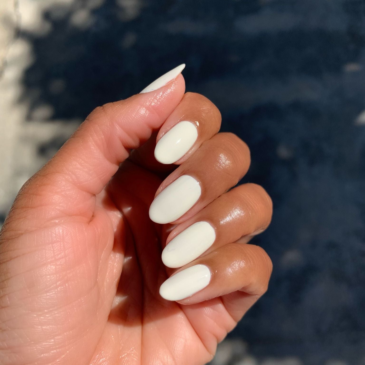 Bunny Slope、mySite、solidvoid