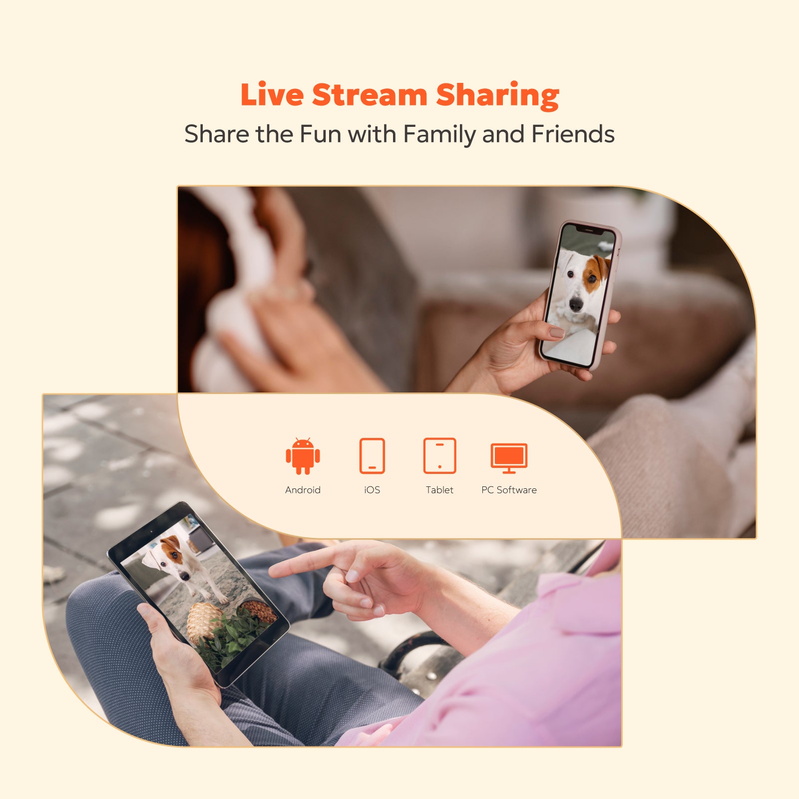 2K Indoor Camera - T1 (Wired)、mySite、fannypackpong