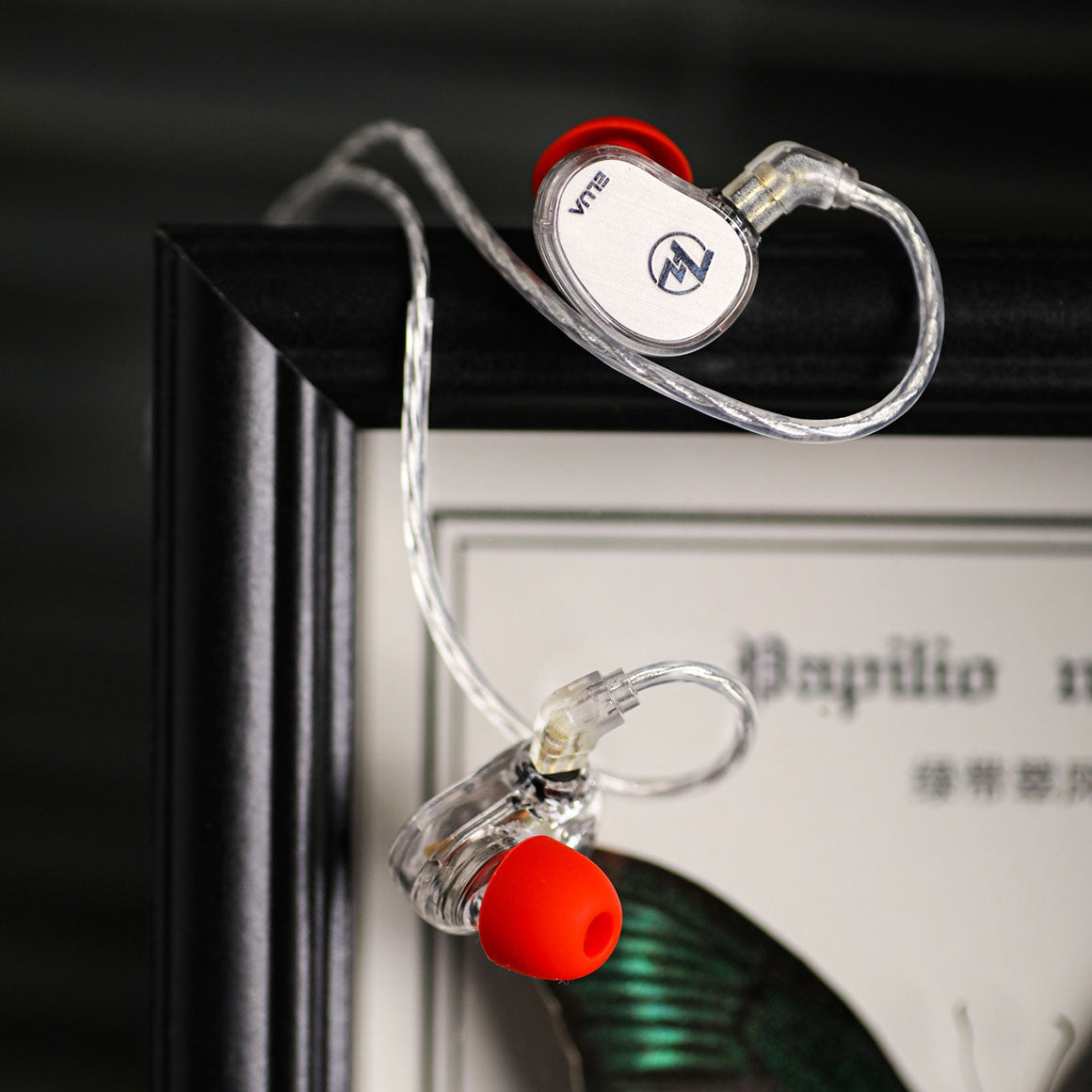  7HZ x HBB - Elua (Unboxed)、mySite、merchandisen