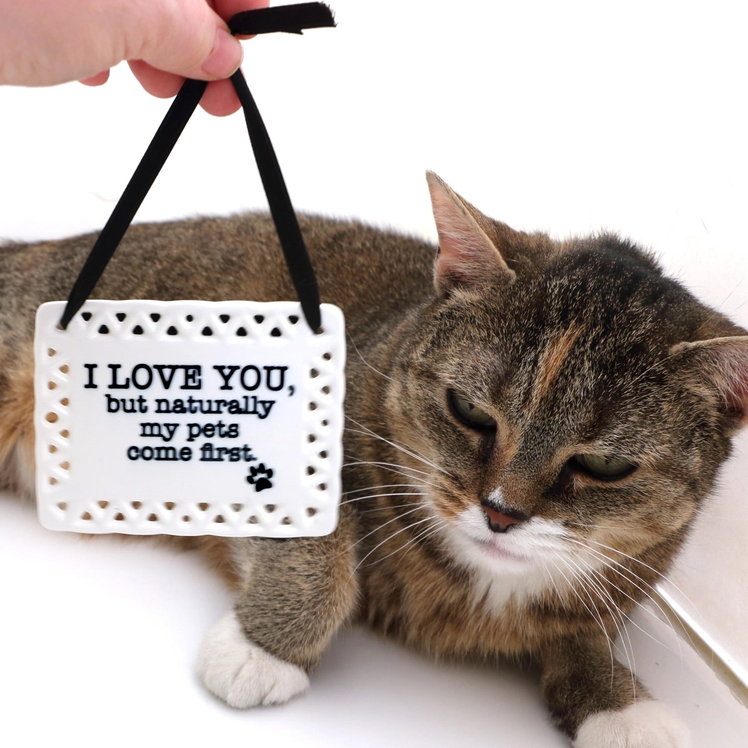 Ceramic Plaque, Naturally My Pets, Ceramic Wall Hanging、mySite、g9winljtr