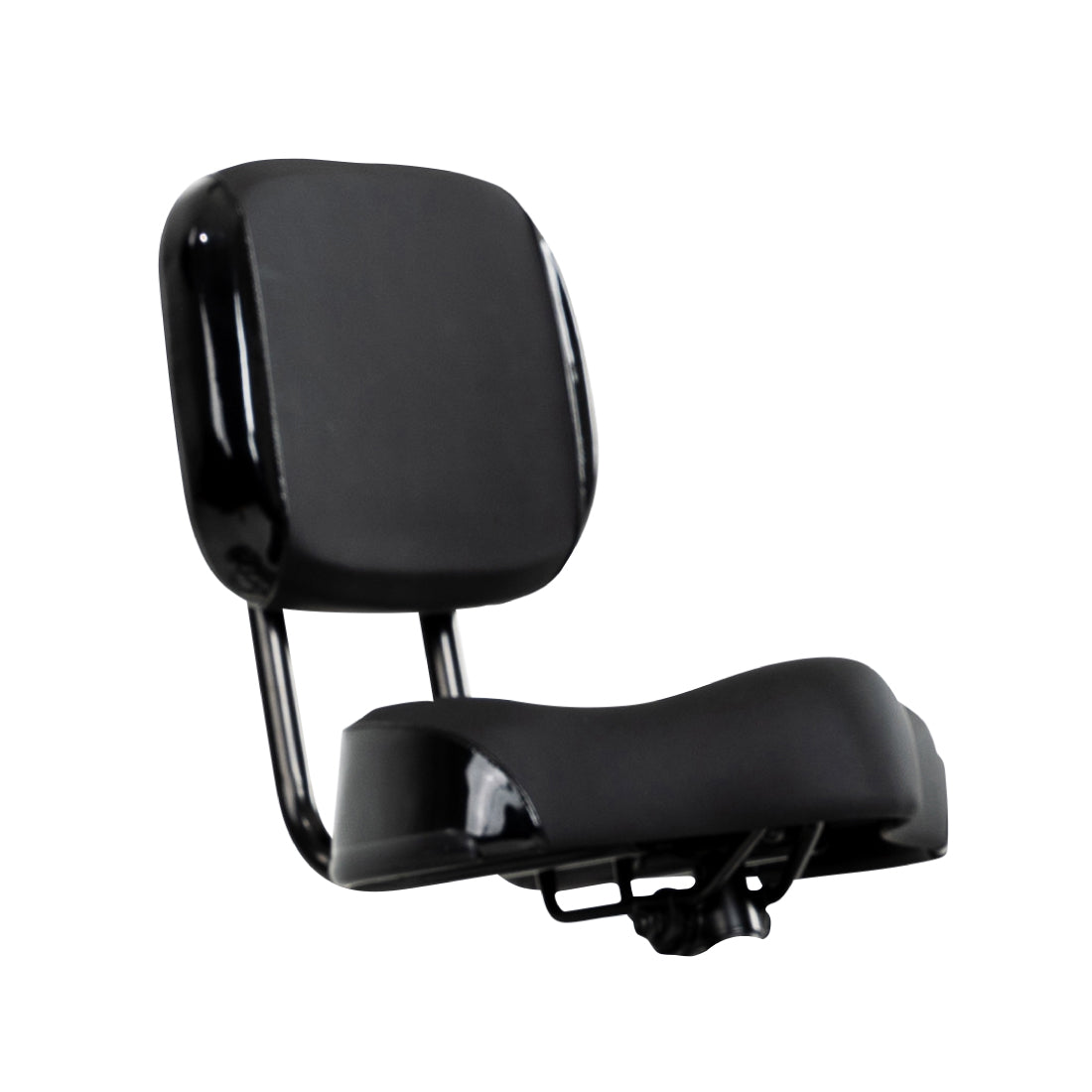  FREE Support Seat ($39 Value)、mySite、ghnorth