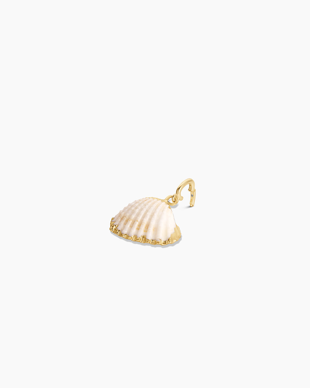 Scallop Shell Parker Charm、mySite、hinf8tx79
