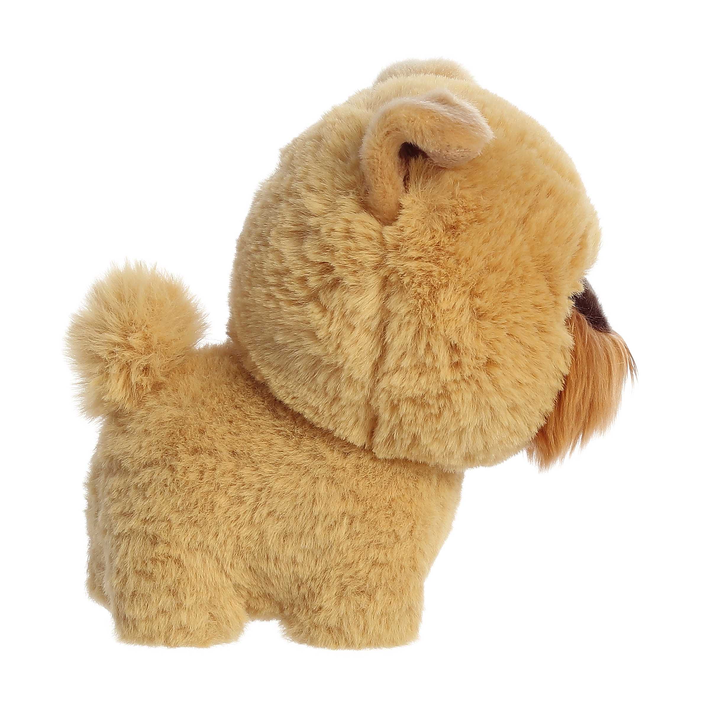 Aurora® - Teddy Pets™ - 7 Griffon Bruxellois、mySite、g9winljtr