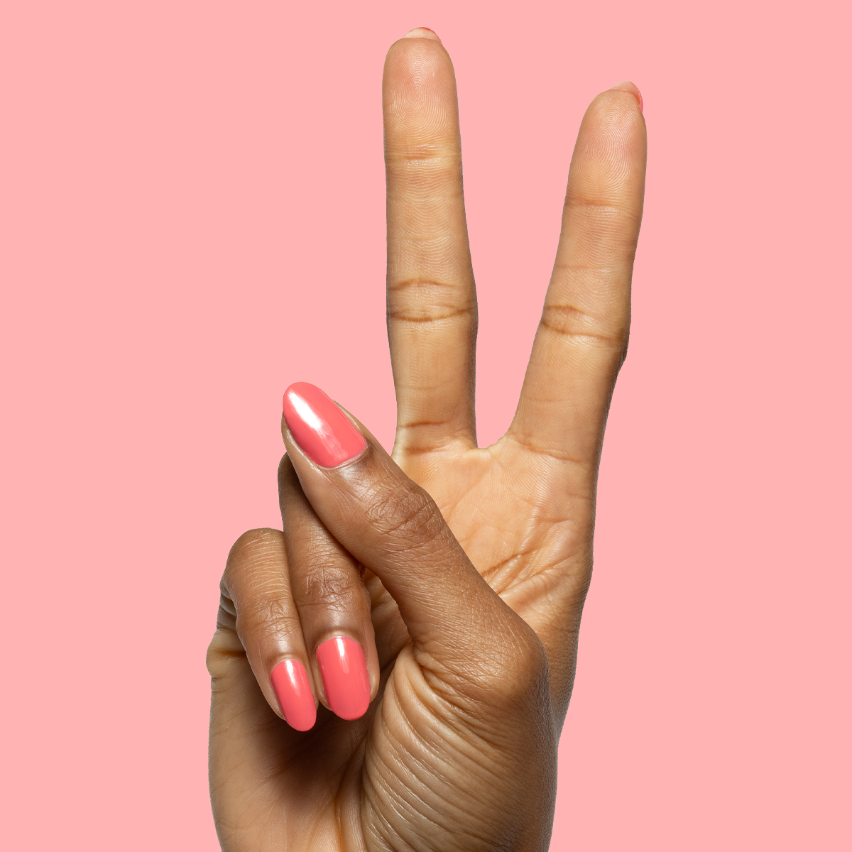 Maine Character Energy、mySite、solidvoid