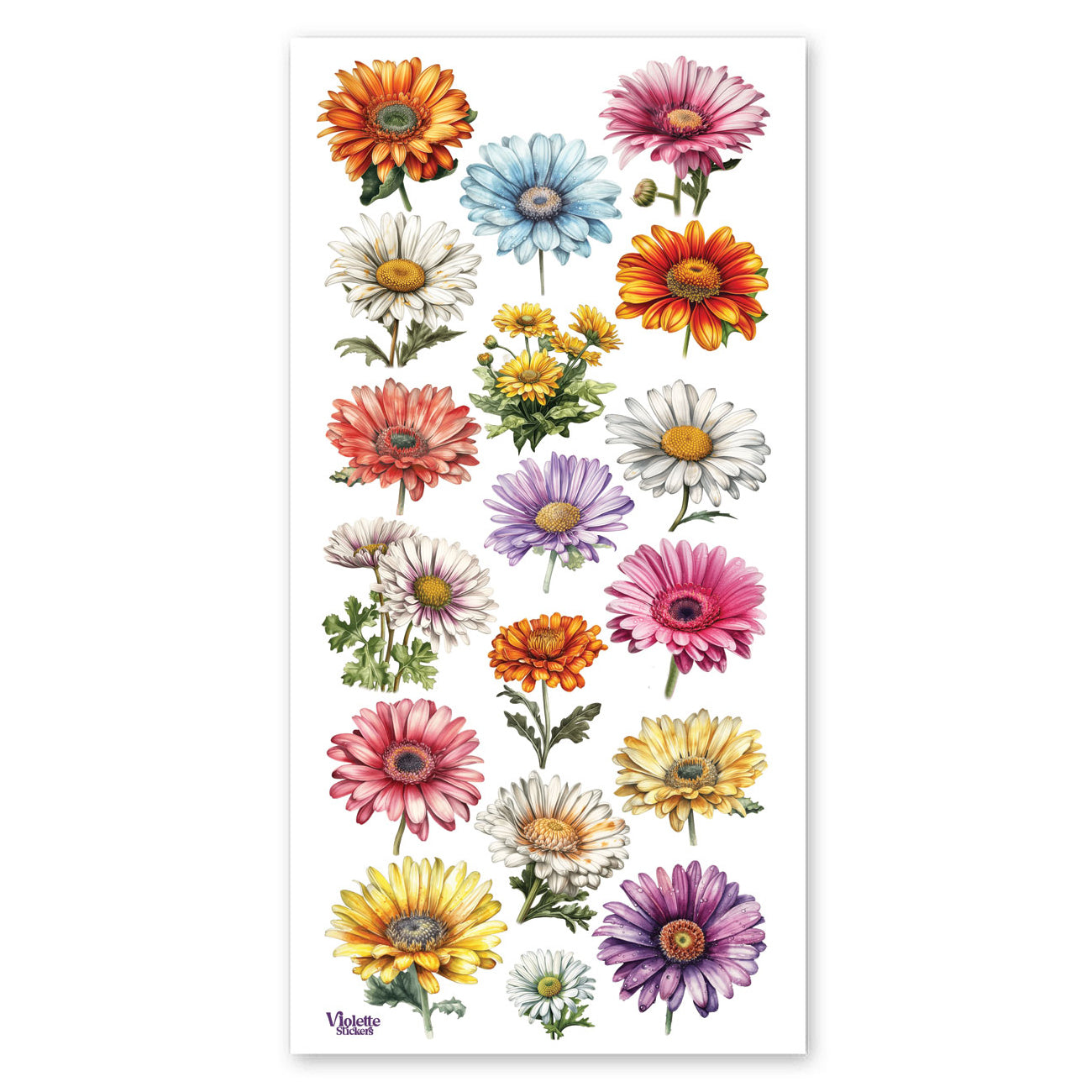  Colorful Daisies Stickers、mySite、ghnorth