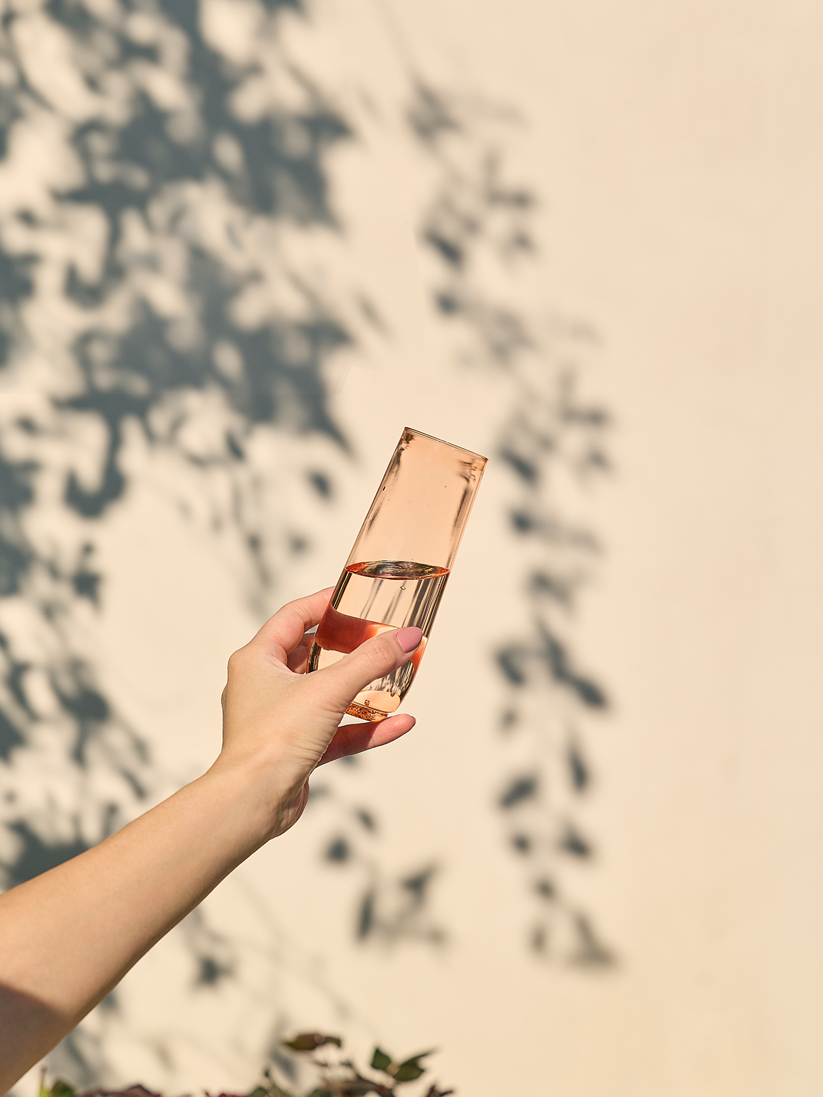 MSRP POP 9oz Flute - Color Set、mySite、camillekostekn