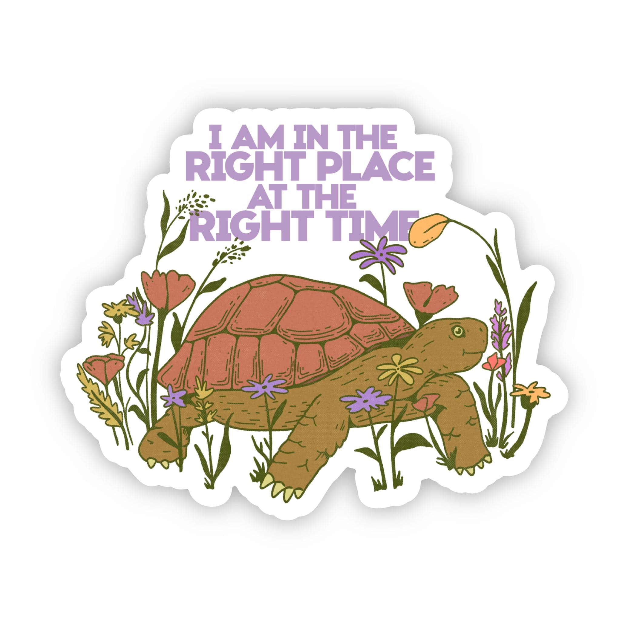  I am in the right place at the right time turtle sticker、mySite、elrpsem3k
