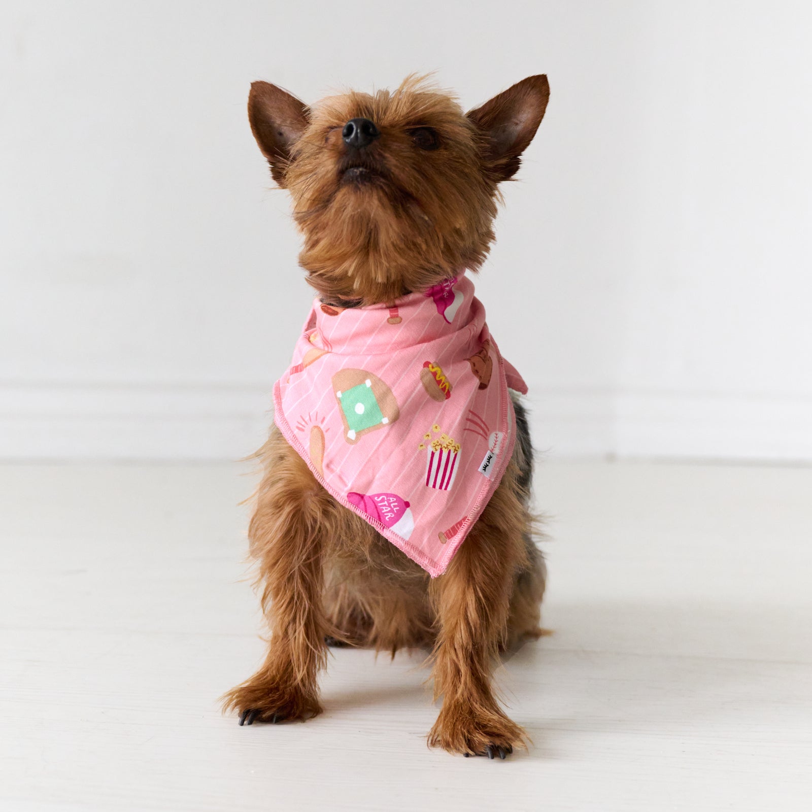 Pink All Stars Pet Bandana、mySite、g9winljtr
