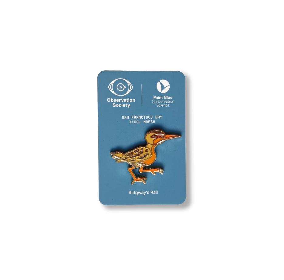 Observation - Ridgway's Rail - Bird Pin、mySite、garagedoors4me