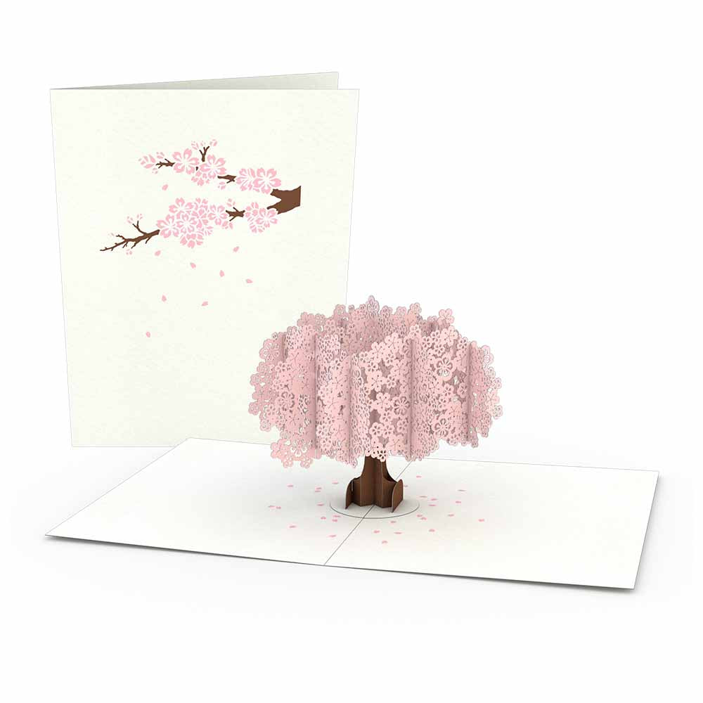 Cherry Blossom Notecards (4-Pack)、mySite、solidvoid