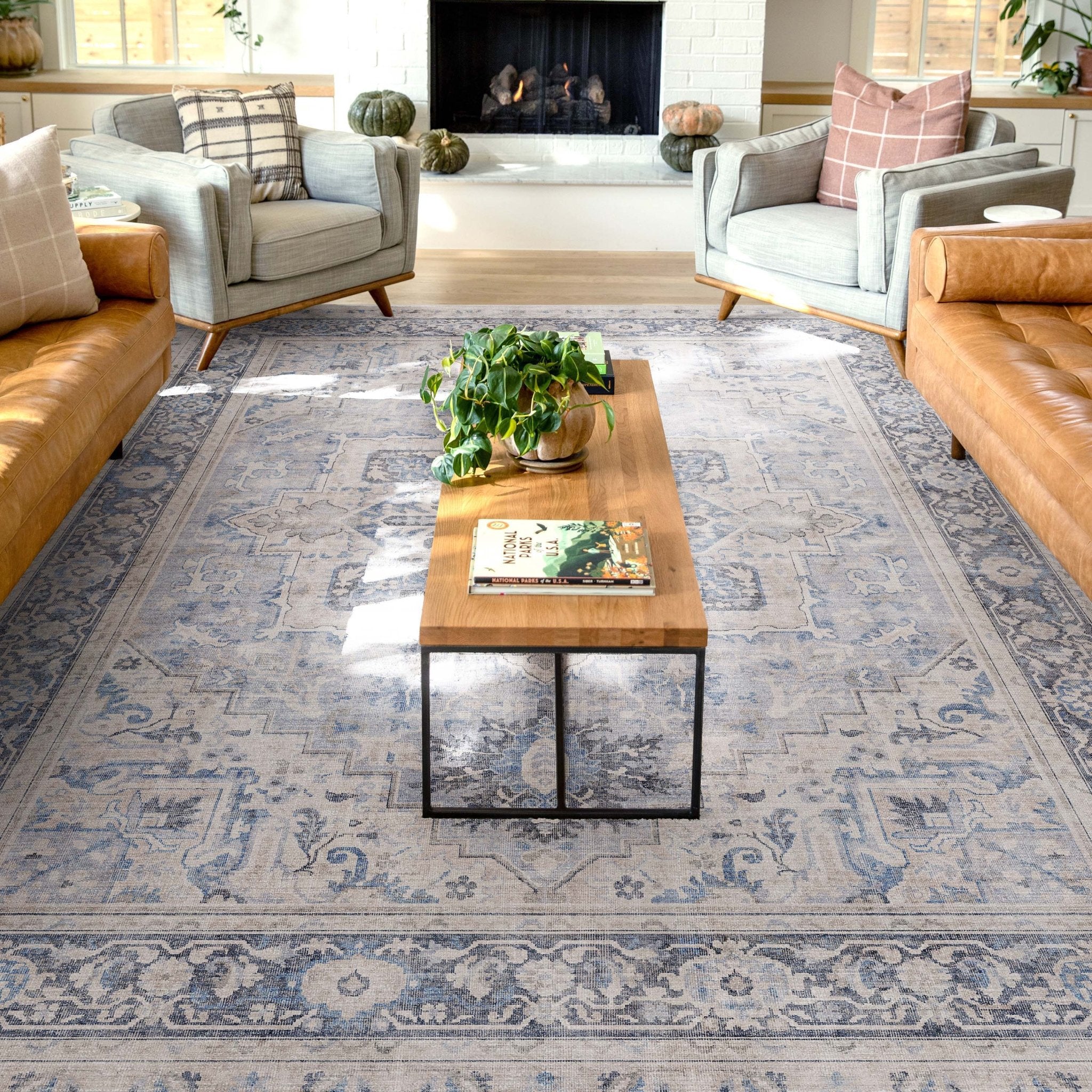 Tirana Vintage Medallion Oriental Flat-Weave Rug、mySite、gigharbornorthrealestate