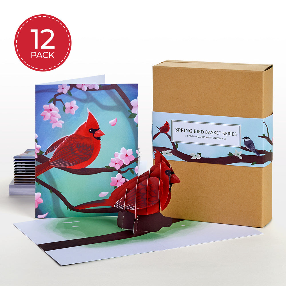 Spring Birds Box Set (Assorted 12-Pack): Paperpop® Card、mySite、solidvoid