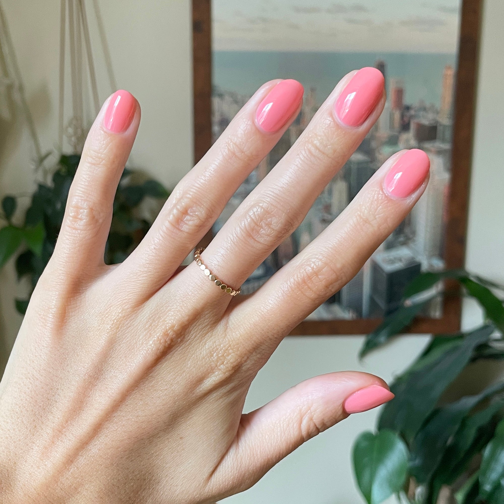 Papaya Gloss、mySite、solidvoid