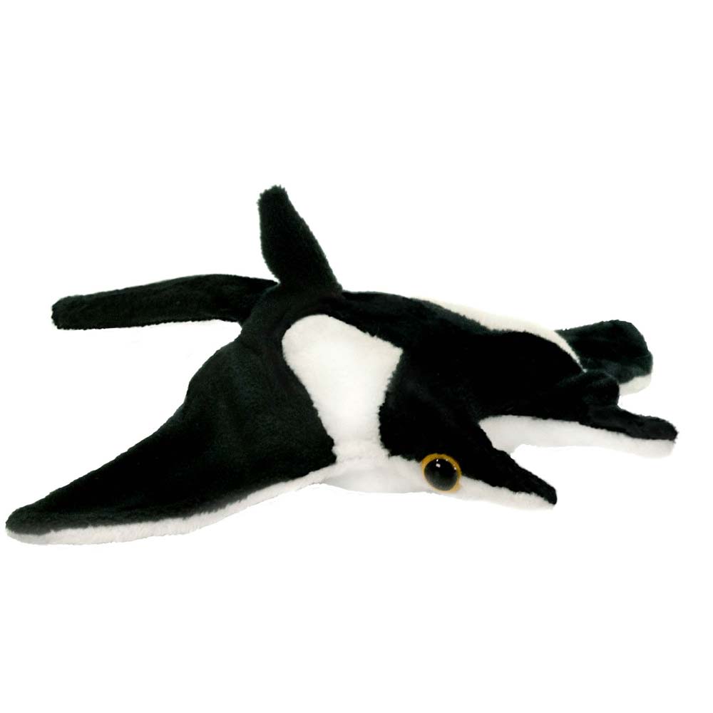 7 Manta Ray、mySite、g9winljtr