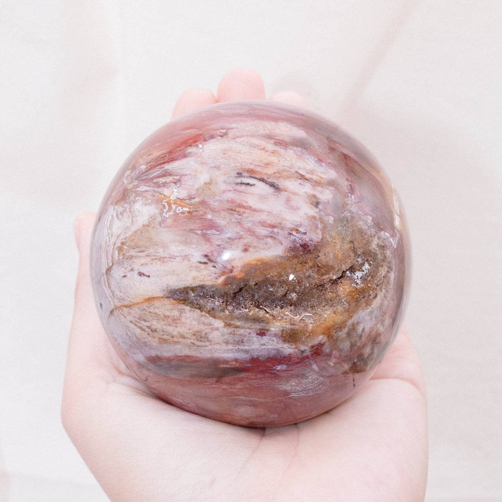 Petrified Wood Sphere - AAA Premium Quality、mySite、hinf8tx79