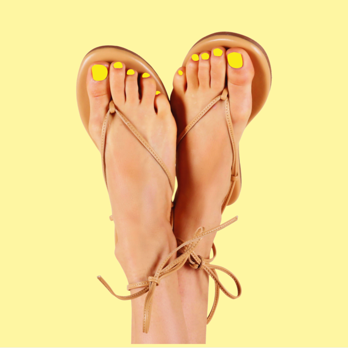 Lemony Lemon、mySite、solidvoid