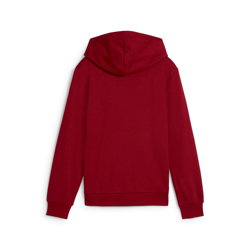 Classics Logo Pullover Hoodie (Youth)、mySite、gtrtttuynbv