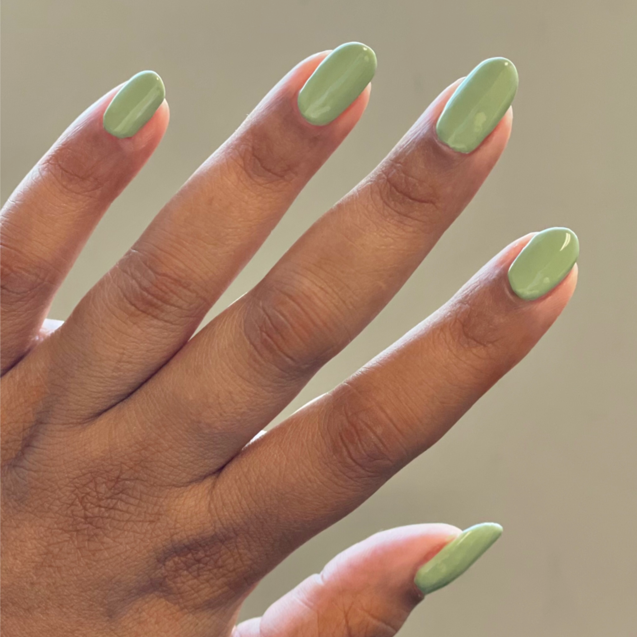 Meadow、mySite、solidvoid