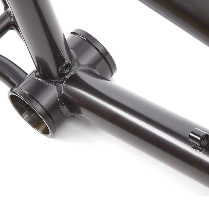  S&M Reynolds Signature CCR Frame、mySite、merchandisen