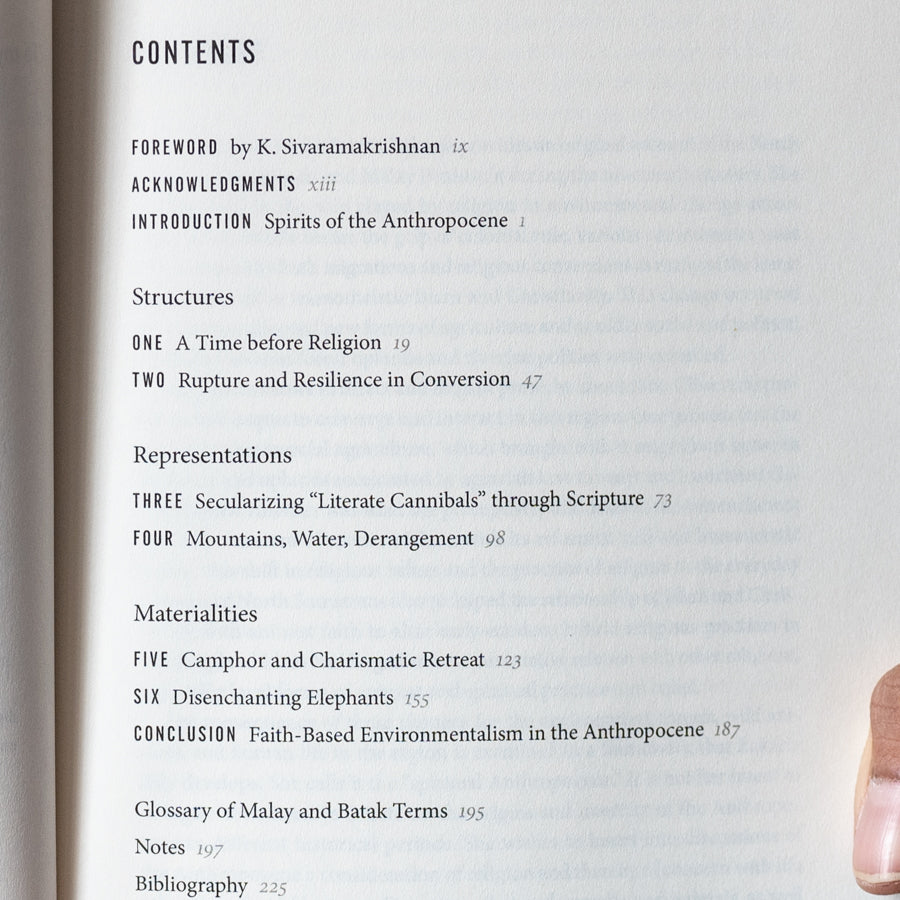 The Camphor Tree and the Elephant、mySite、topwebapps