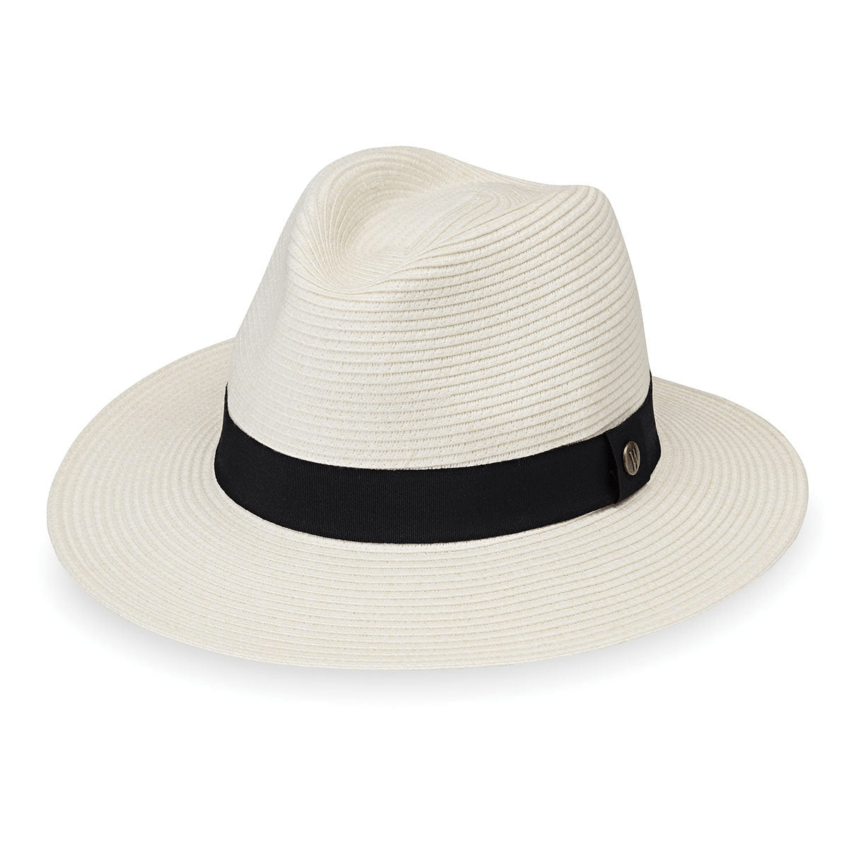 Palm Beach | Unisex | Ivory、mySite、preschool7hills
