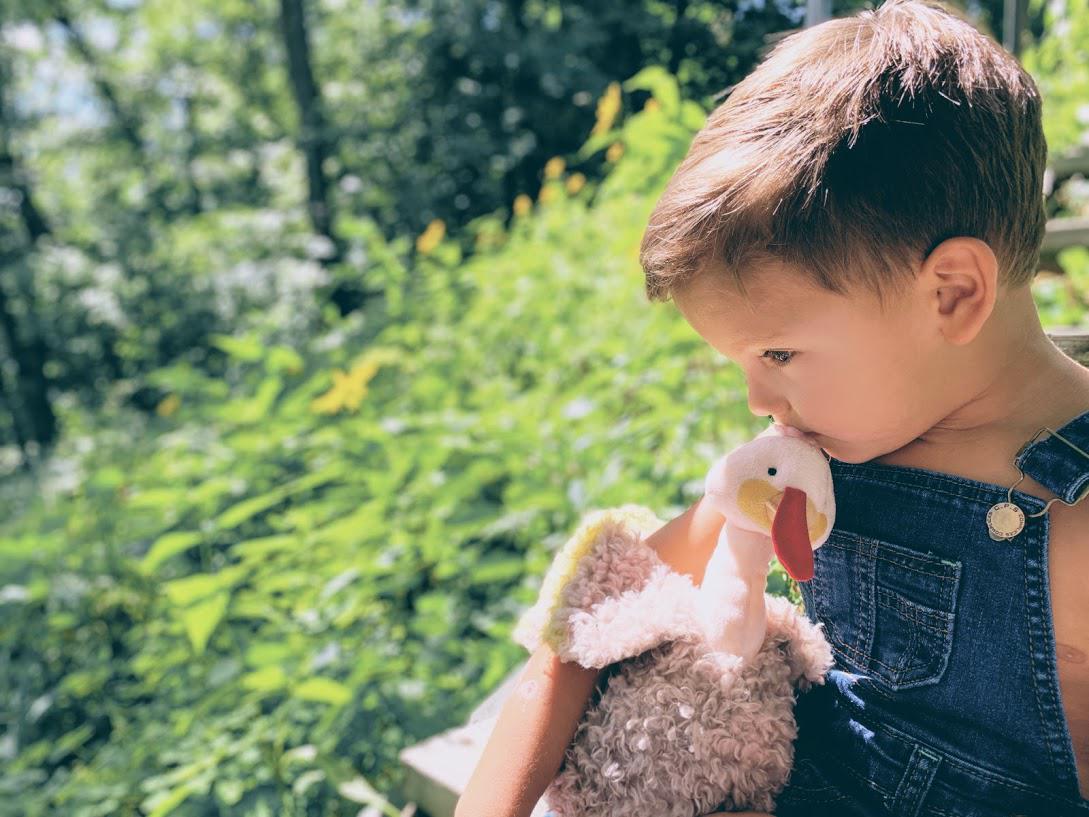 RETIRED - Gracious Gobbler Book and Plush Bundle、mySite、g9winljtr