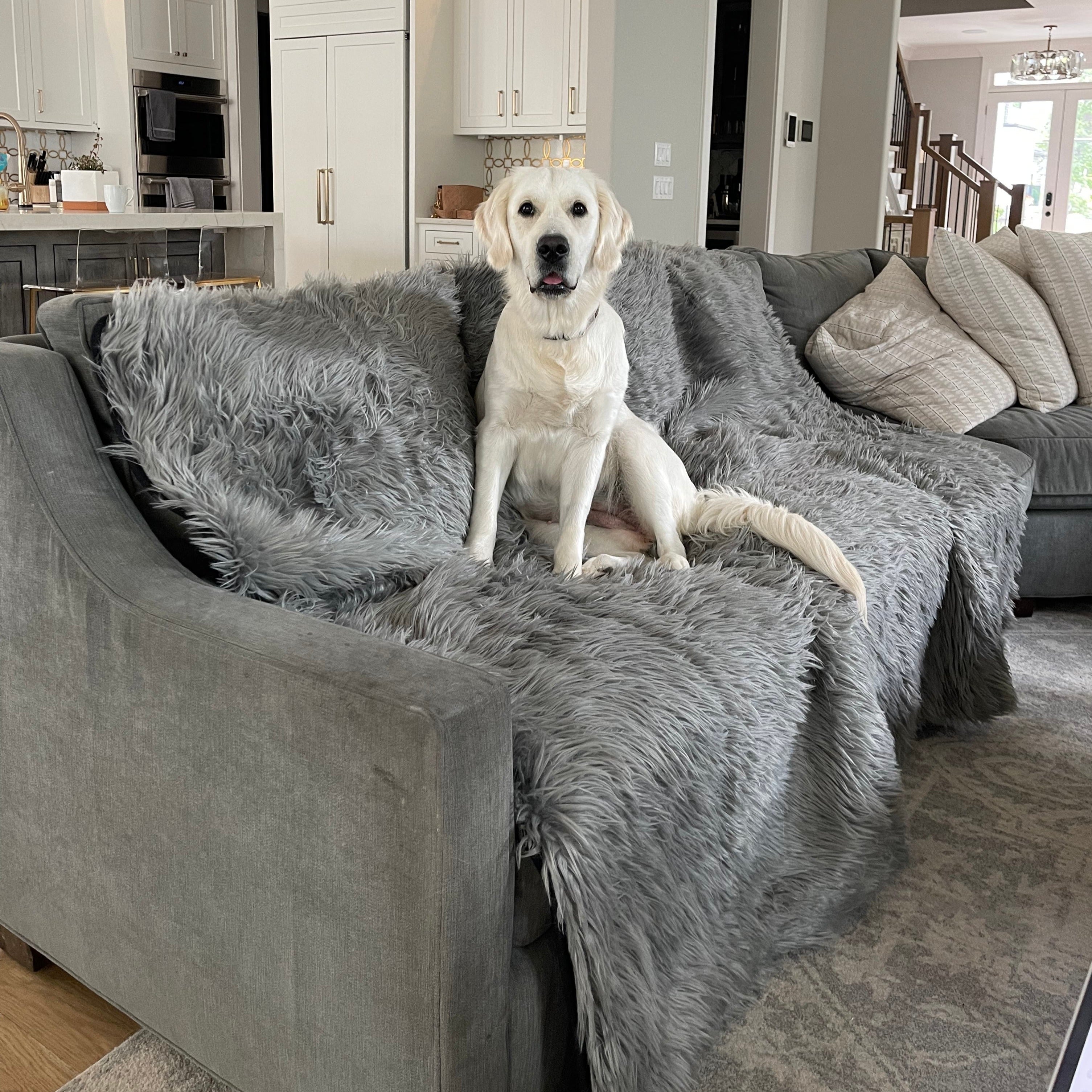 PupProtector™ Waterproof Throw Blanket - Charcoal Grey、mySite、solidvoid