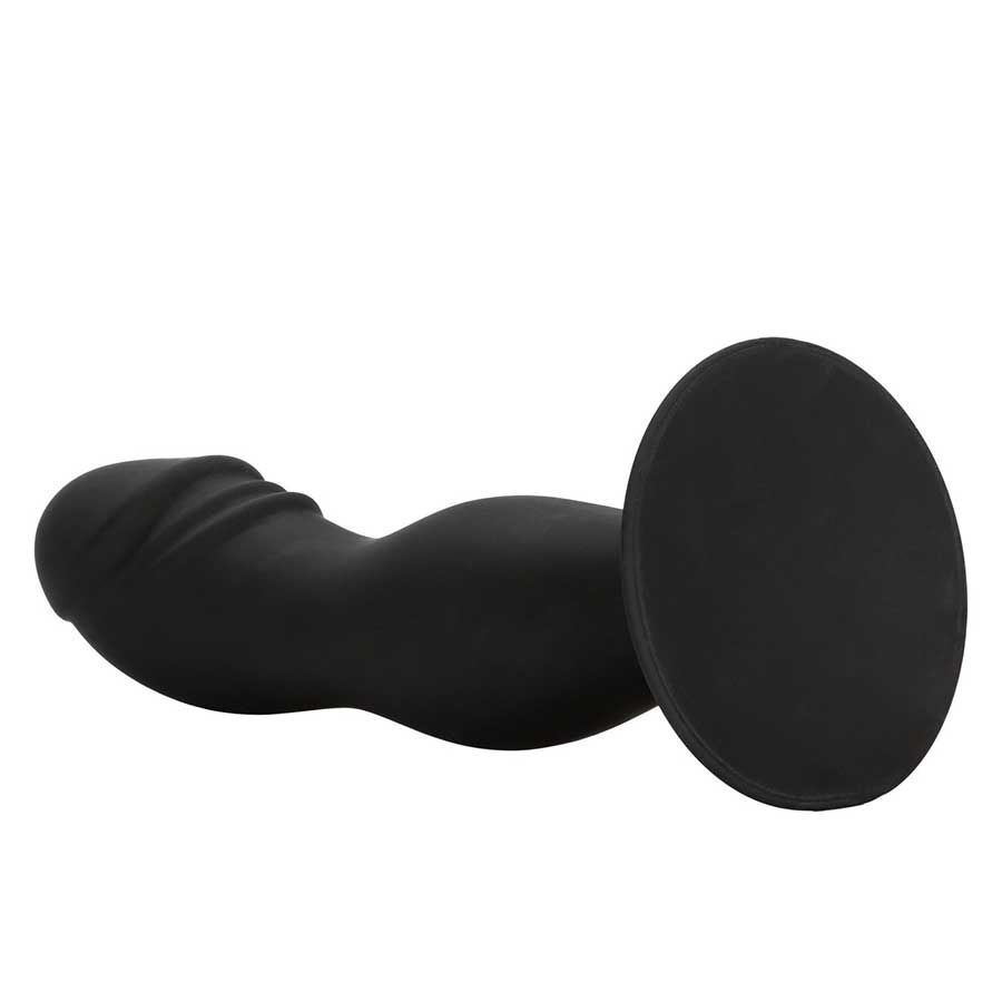 5.5 Inch Anal Stud Black Silicone Anal Dildo by Cal Exotics、mySite、bottomscart