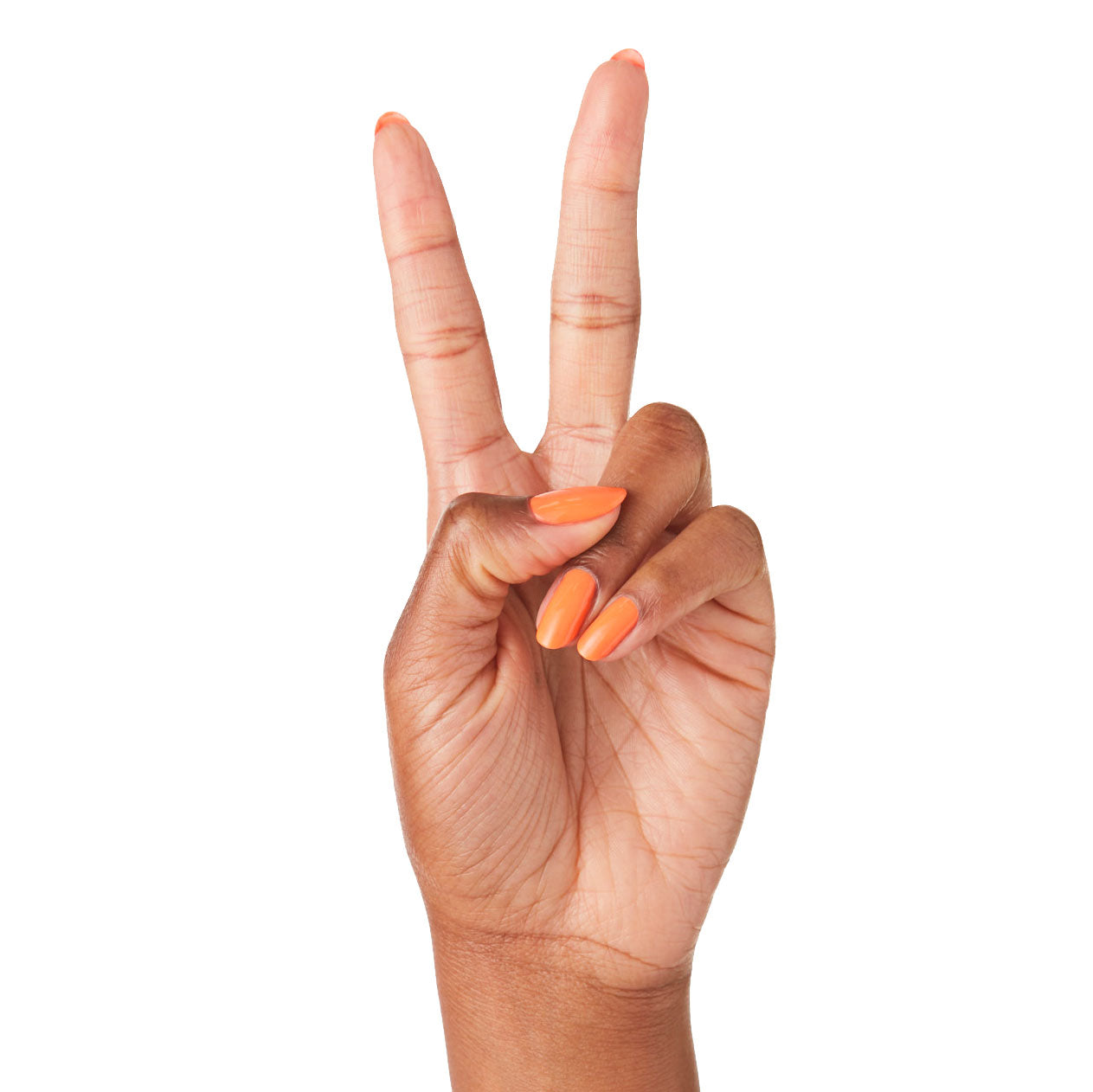 THE MANI SYSTEM、mySite、solidvoid