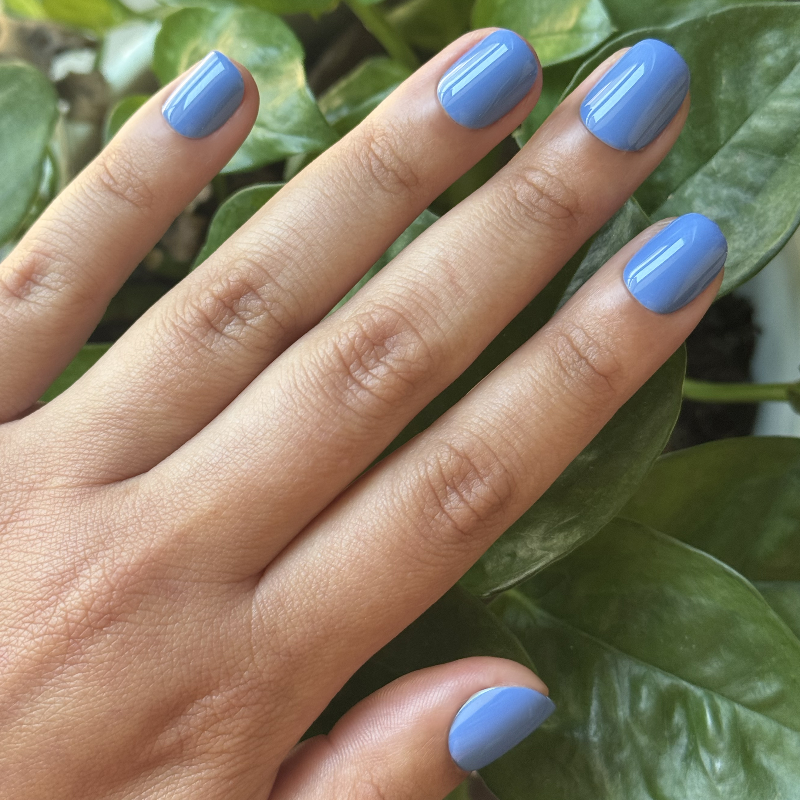 Summer Blue - Press-On | Extra Extra Short | Squoval、mySite、solidvoid