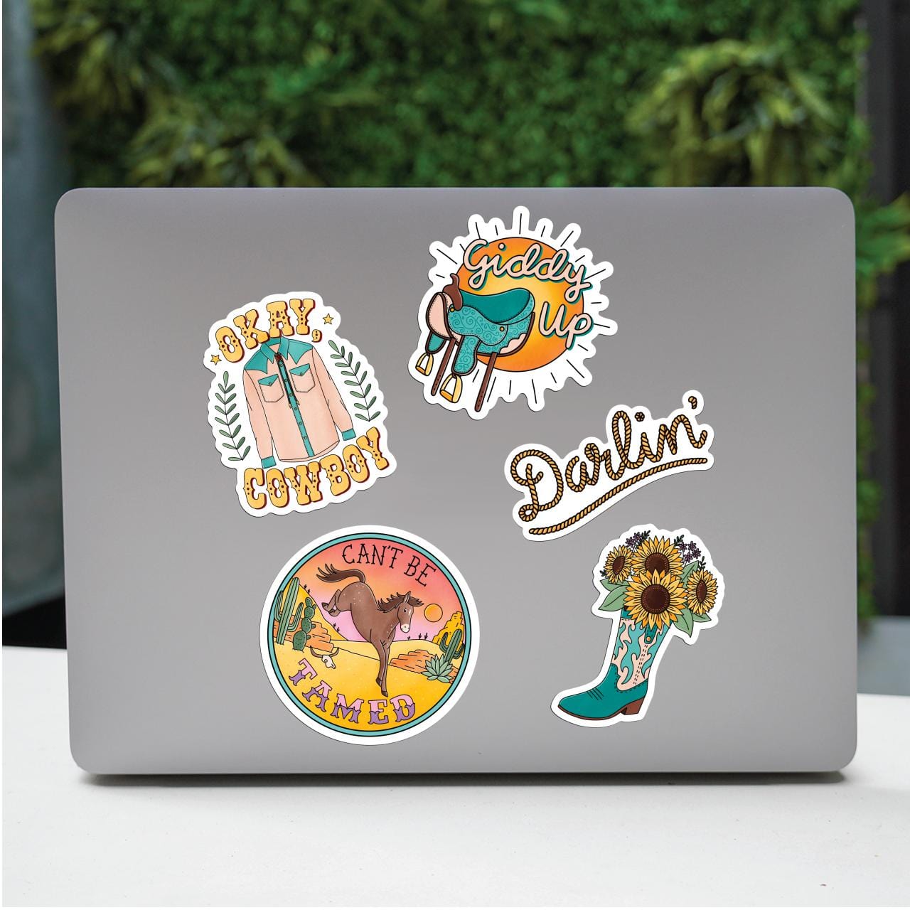  Can't Be Tamed 5 Pack、mySite、elrpsem3k