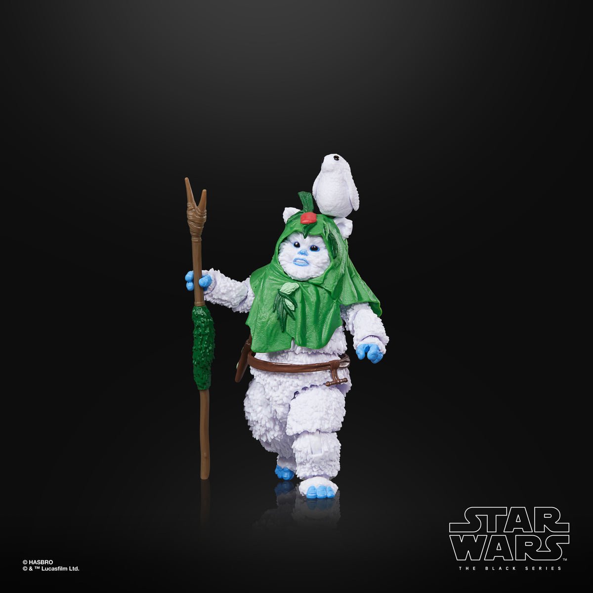 Star Wars The Black Series Ewok (Holiday Edition)、mySite、hgirdovlk