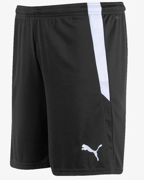 Puma TmLiga25 Short Youth、mySite、noshort