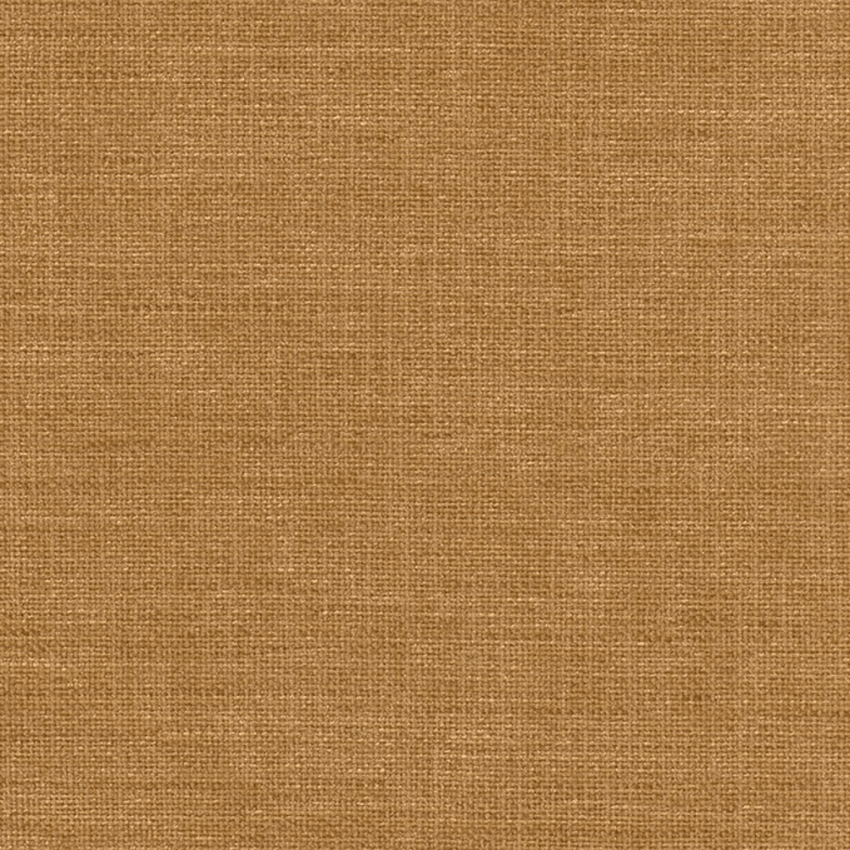 Grade A: Club CL020、mySite、neckold