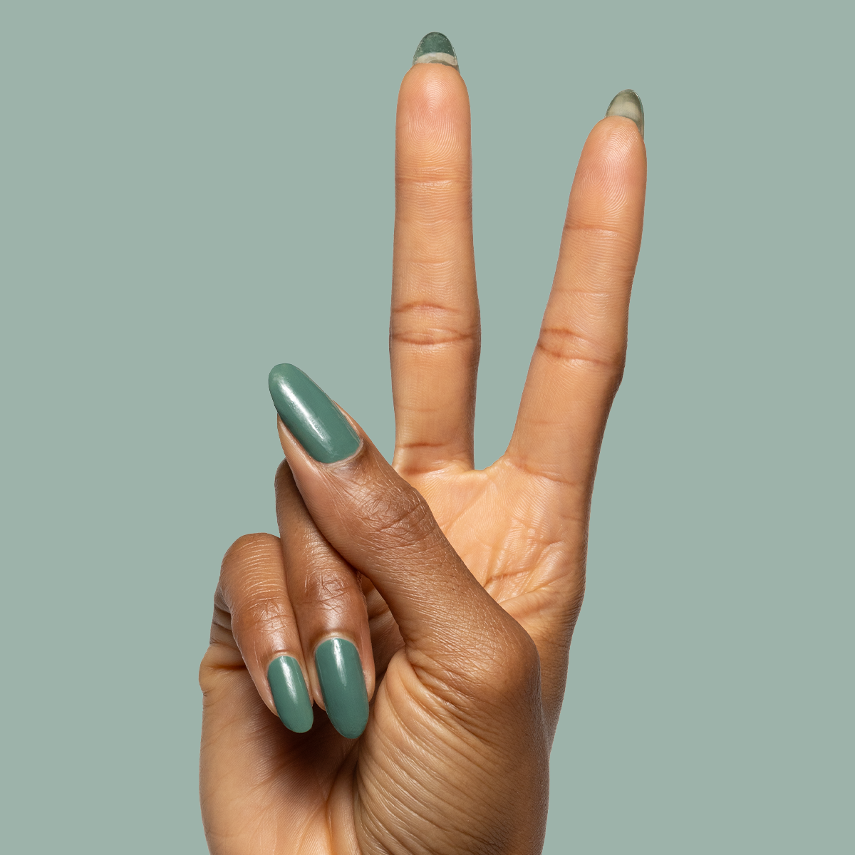 Still Life of Flowers、mySite、solidvoid