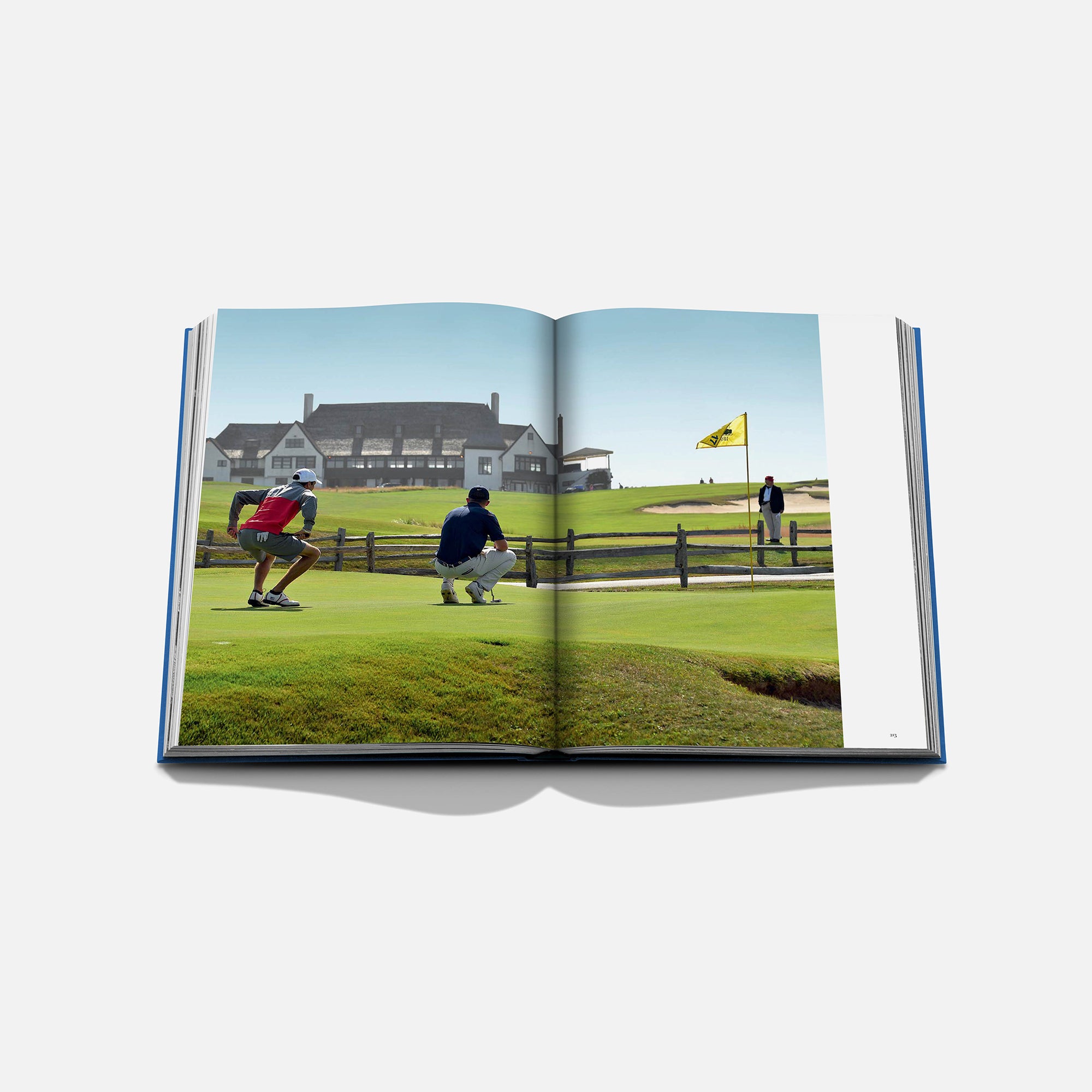 {product_title} - {shop_name}