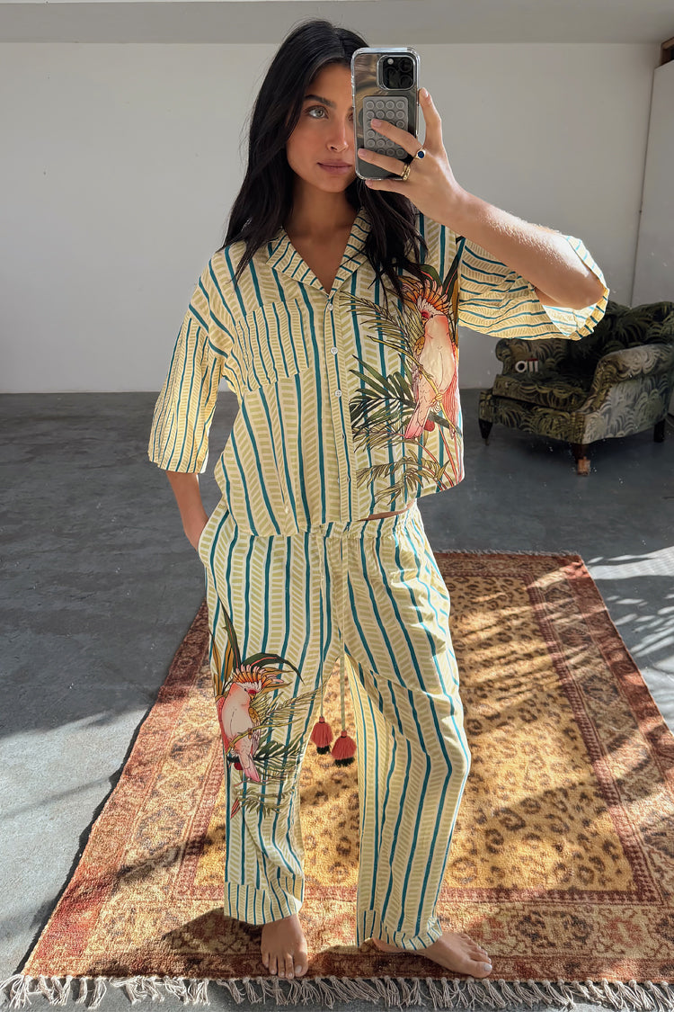 Toucan Button Through Set、mySite、solidvoid